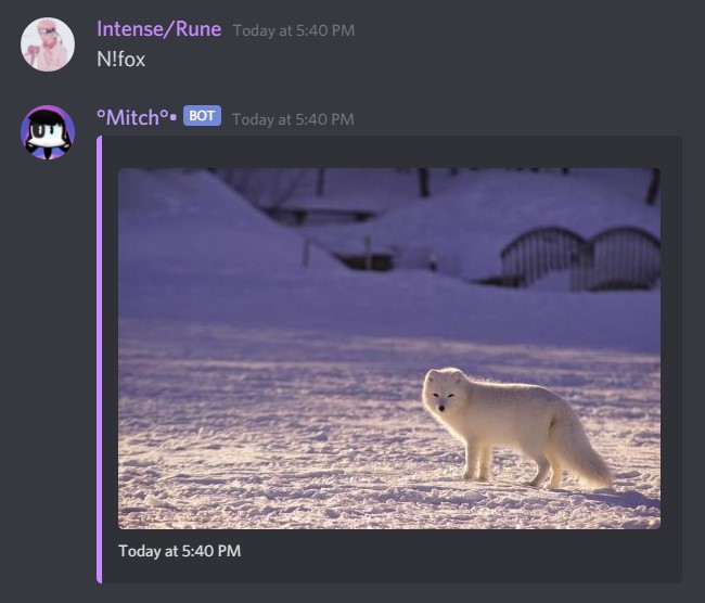 Feature Example Image