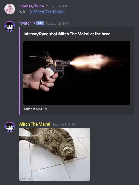 Feature Example Roleplay